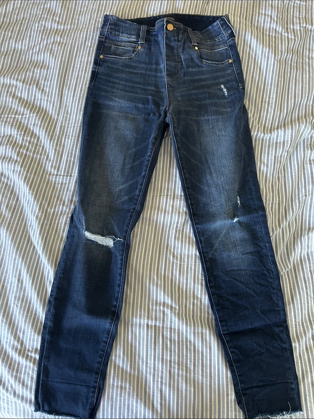 Liverpool Dark Indigo Distressed Skinny Jeans